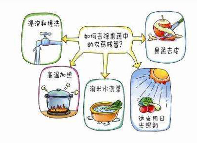 如何減少農(nóng)藥污染去除農(nóng)藥殘留？振華化工總結(jié)以下幾點分享給大家